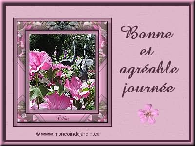Toute une leçon de vie...